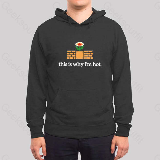 This Is Why I¡¯m Hot Hoodie