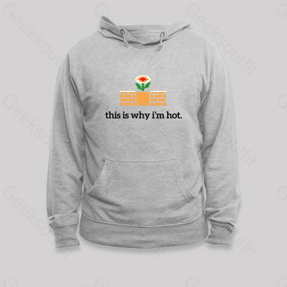 This Is Why I¡¯m Hot Hoodie Grey / S