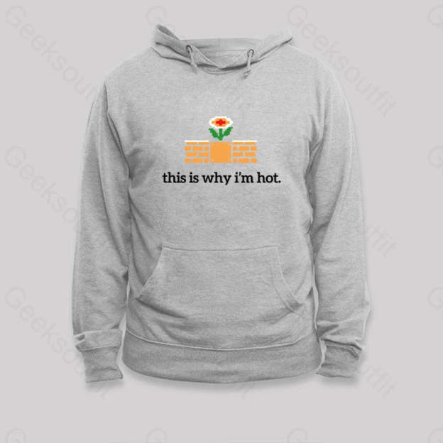 This Is Why I¡¯m Hot Hoodie Grey / S