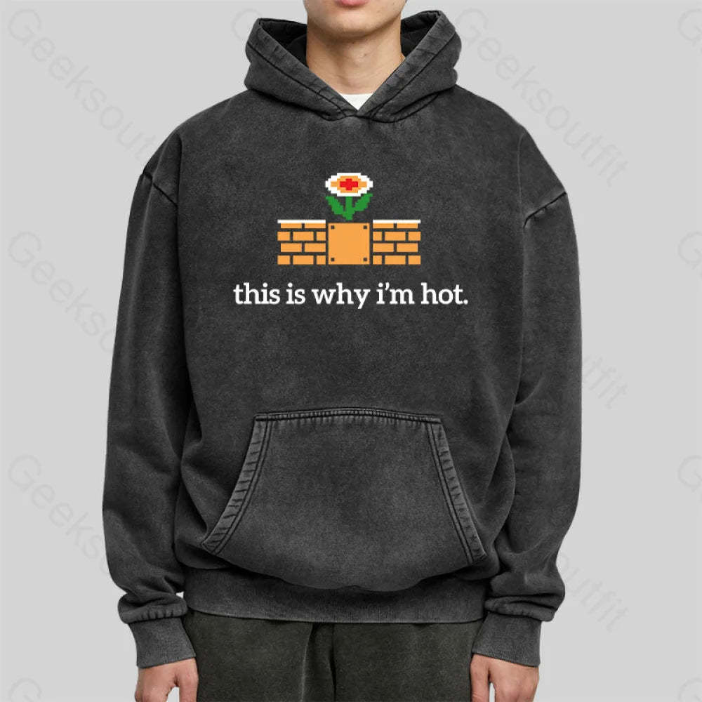 This Is Why I¡¯m Hot Washed Hoodie