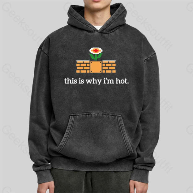 This Is Why I¡¯m Hot Washed Hoodie