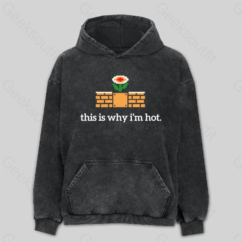 This Is Why I¡¯m Hot Washed Hoodie M