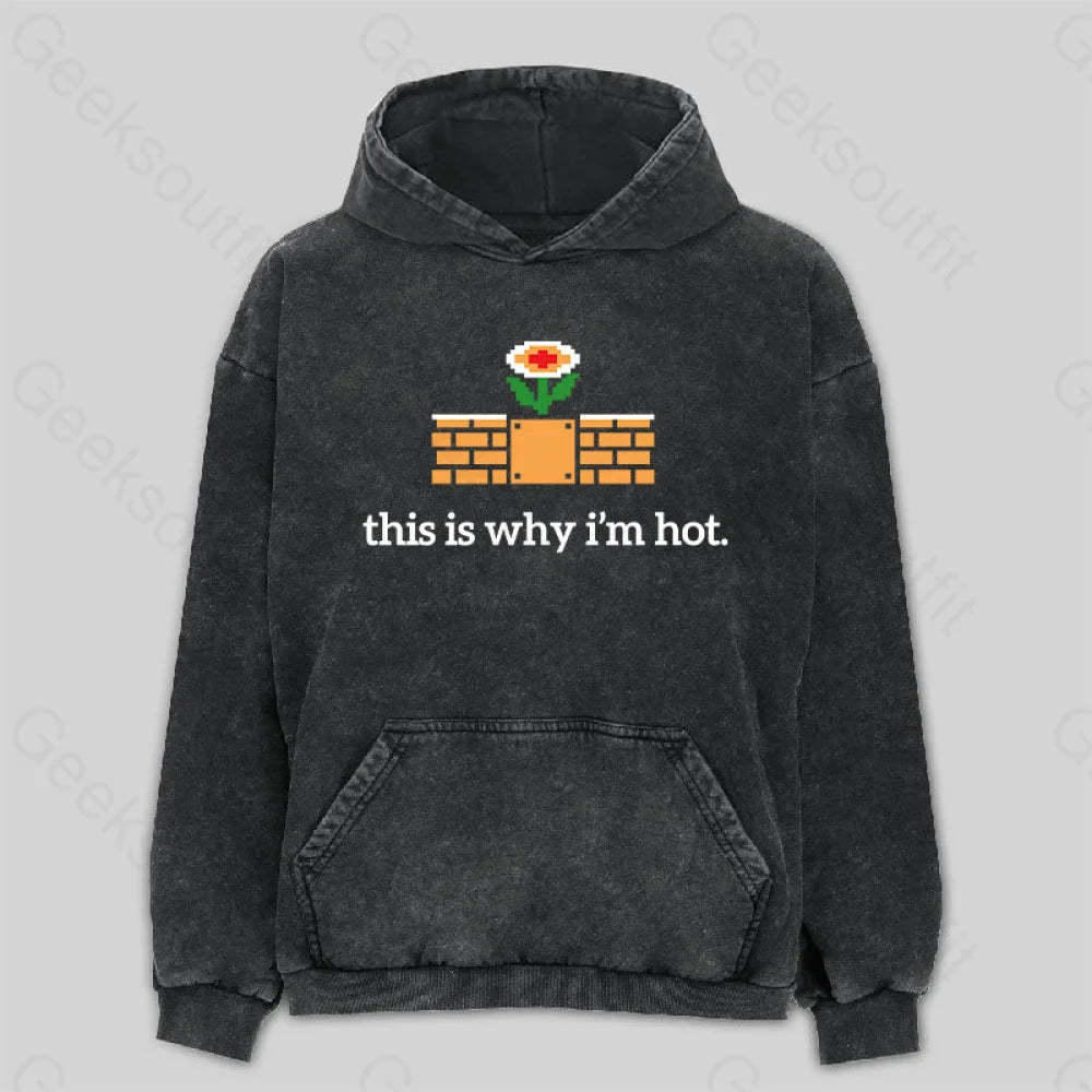 This Is Why I¡¯m Hot Washed Hoodie M