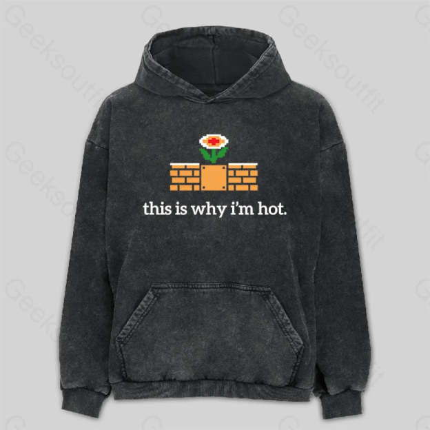 This Is Why I¡¯m Hot Washed Hoodie M