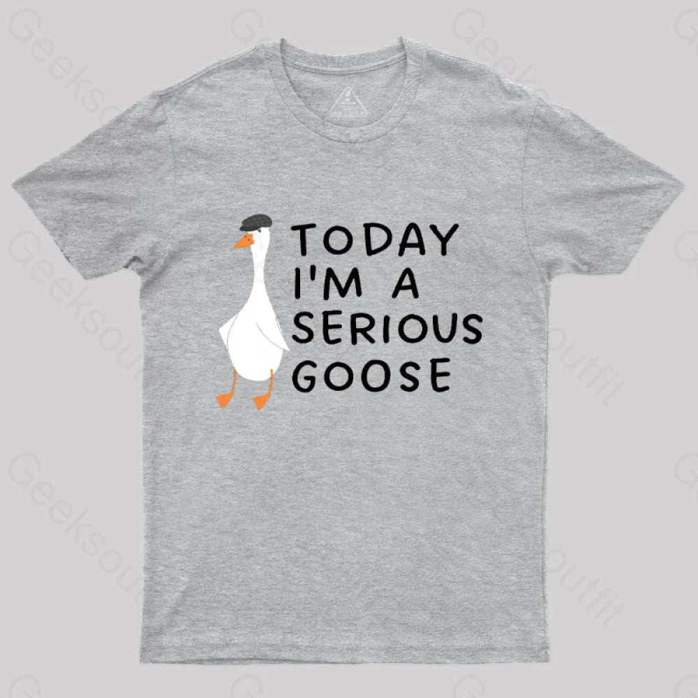 Today I’m A Serious Goose Nerd T-Shirt Grey / S