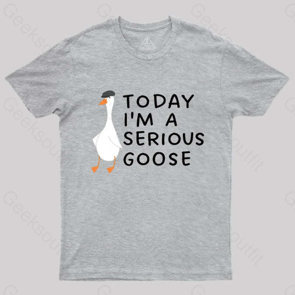 Today I’m A Serious Goose Nerd T-Shirt Grey / S