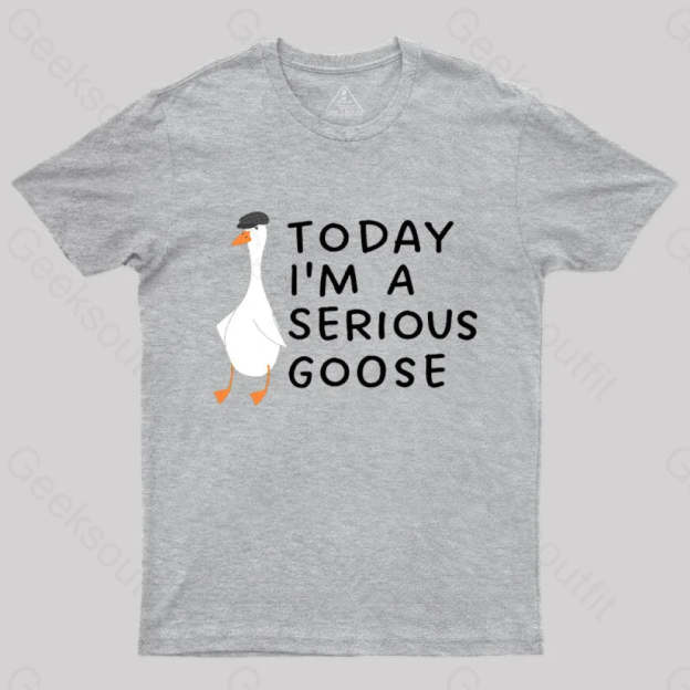 Today I’m A Serious Goose Nerd T-Shirt Grey / S