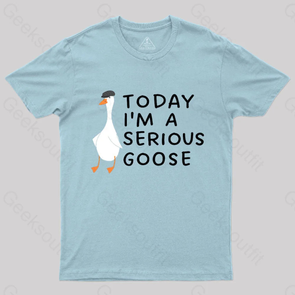 Today I’m A Serious Goose Nerd T-Shirt Light Blue / S