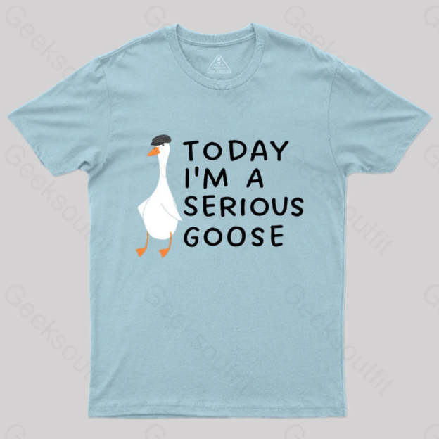 Today I’m A Serious Goose Nerd T-Shirt Light Blue / S