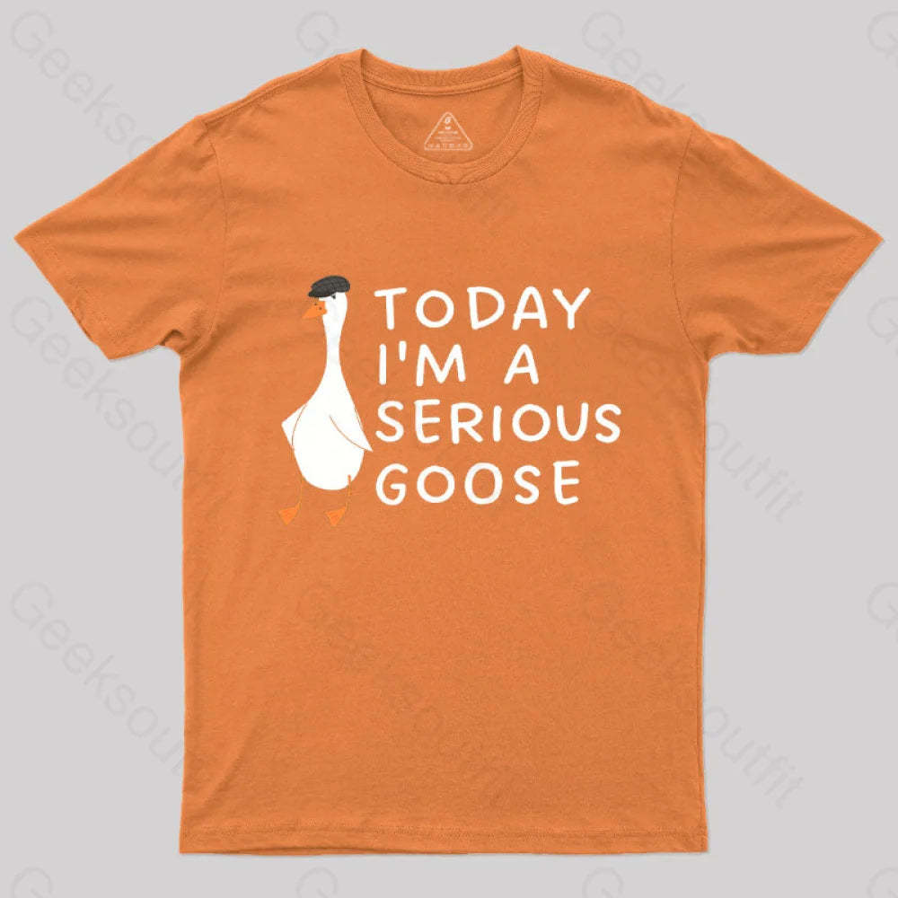 Today I’m A Serious Goose Nerd T-Shirt Orange / S