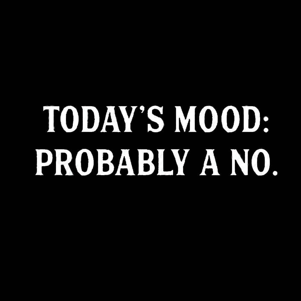 Today’s Mood Probably A No Nerd T-Shirt