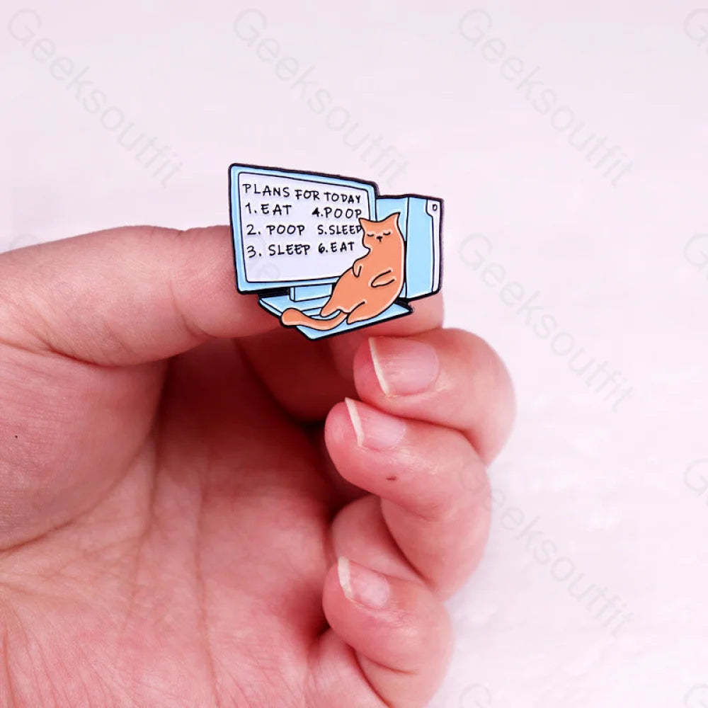 Today’s Plans Pins