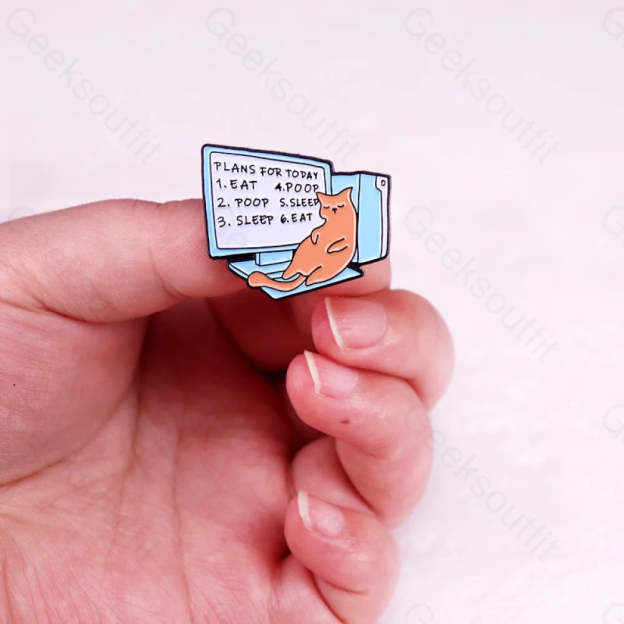 Today’s Plans Pins