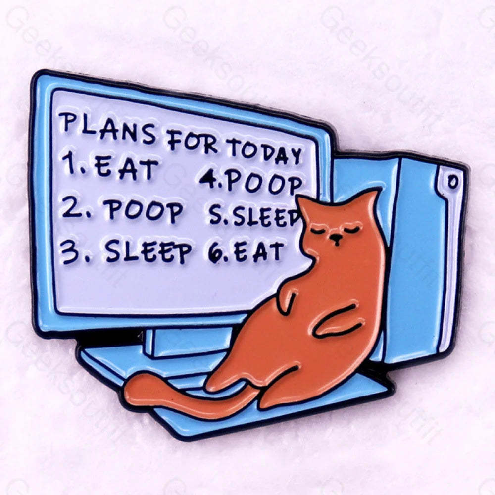 Today’s Plans Pins