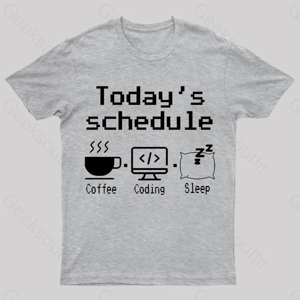 Today’s Schedule Geek T-Shirt Grey / S