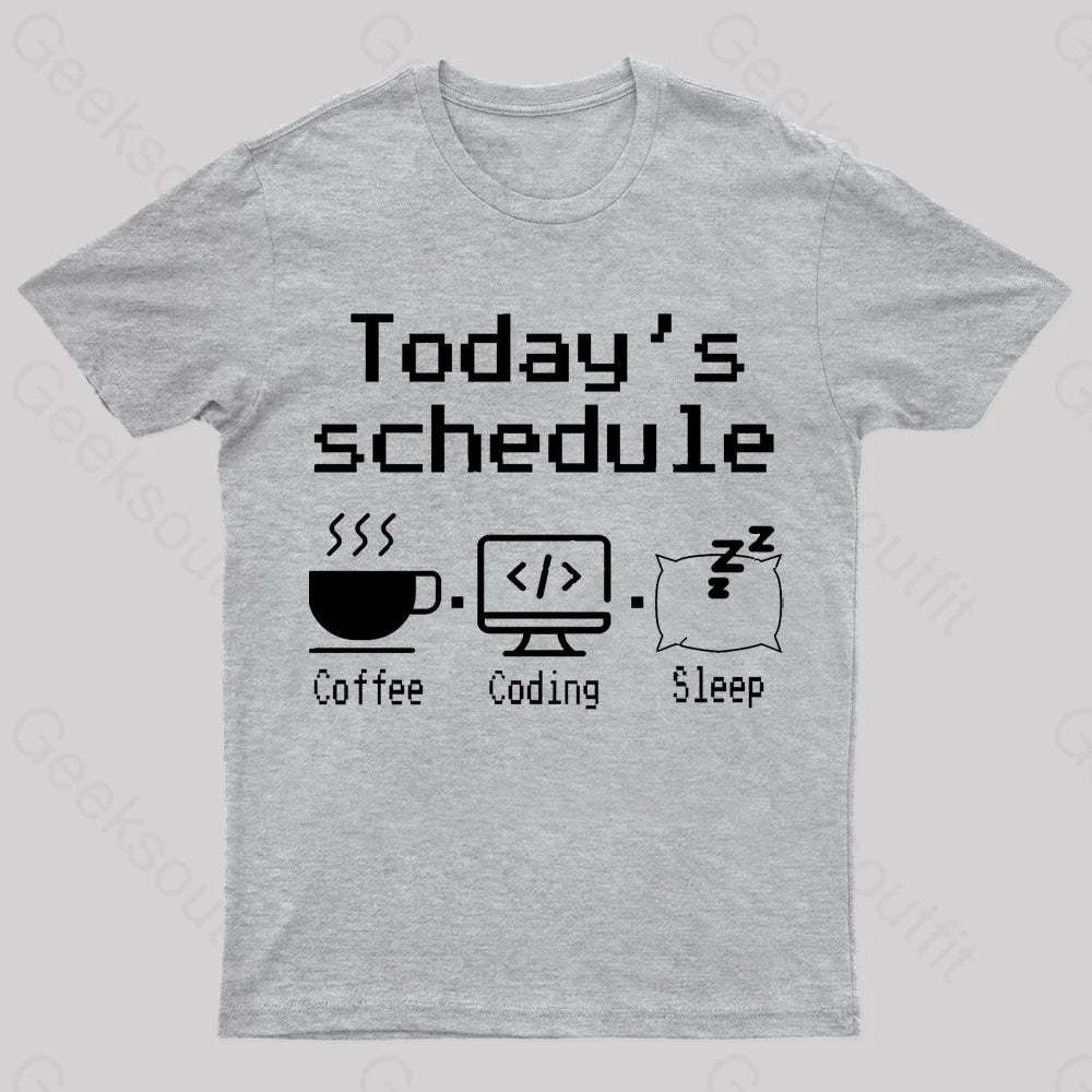 Today’s Schedule Geek T-Shirt Grey / S