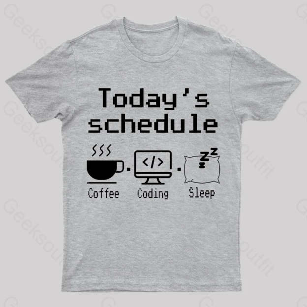 Today’s Schedule Geek T-Shirt Grey / S