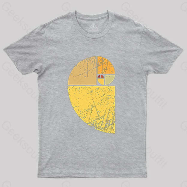 Vintage Fibonacci Spiral Science T-Shirt Grey / S