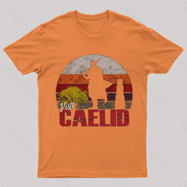 Visit Caelid Elden Ring Geek T-Shirt Orange / S