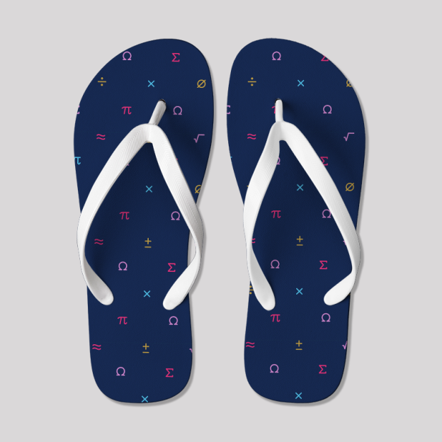 Mathematics Symbol Geek Flip Flop