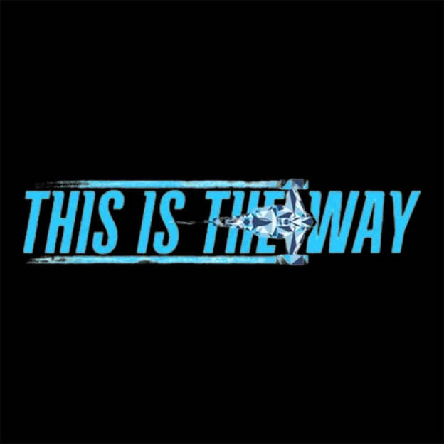 Way Of The Starfighter Nerd T-Shirt