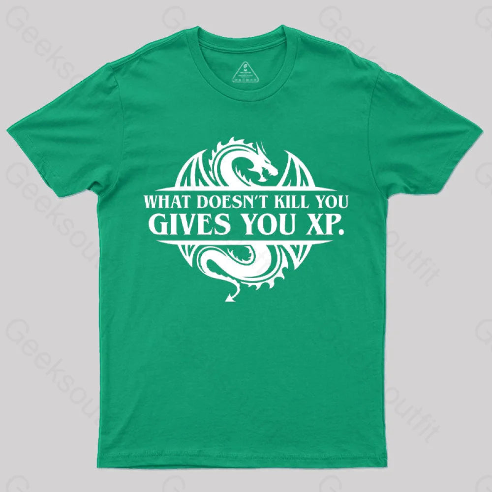 What Doesnt Kill You Give Experience T-Shirt Green / S
