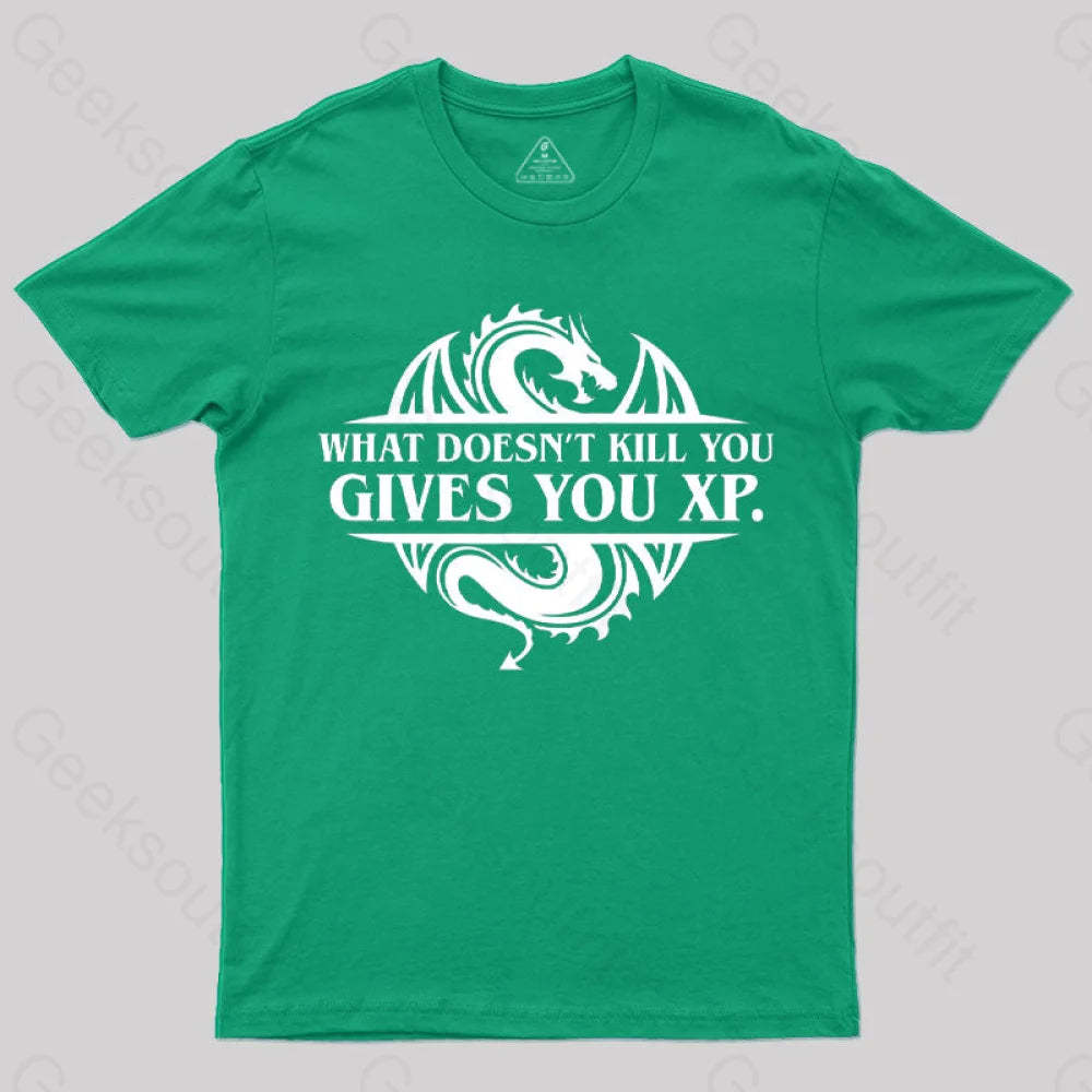 What Doesnt Kill You Give Experience T-Shirt Green / S