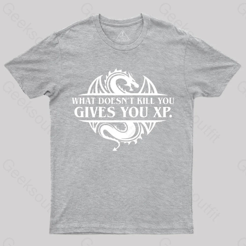What Doesnt Kill You Give Experience T-Shirt Grey / S