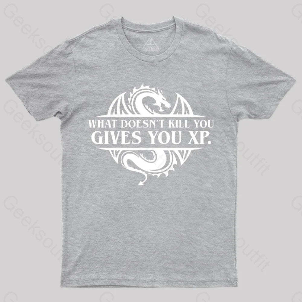 What Doesnt Kill You Give Experience T-Shirt Grey / S
