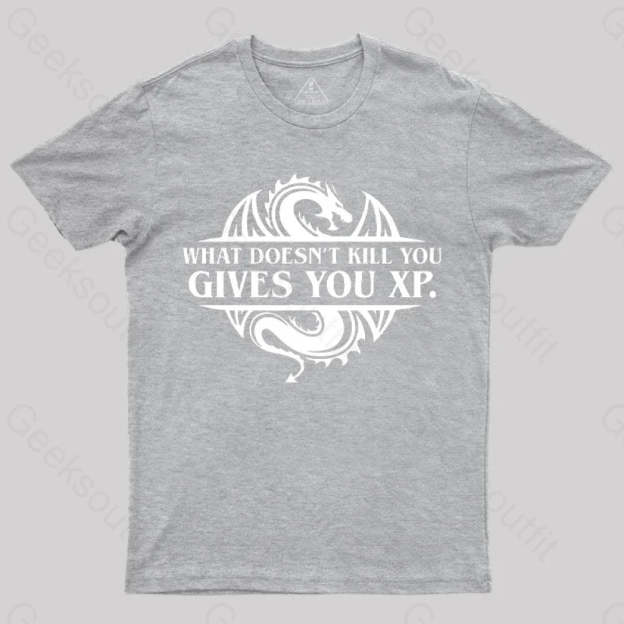 What Doesnt Kill You Give Experience T-Shirt Grey / S