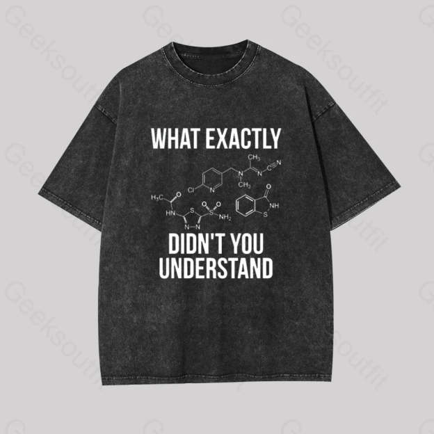 What Exactly Didn?��t You Understand Geek Washed T-Shirt Black / S