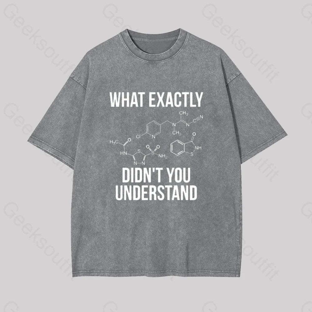 What Exactly Didn?��t You Understand Geek Washed T-Shirt Grey / S