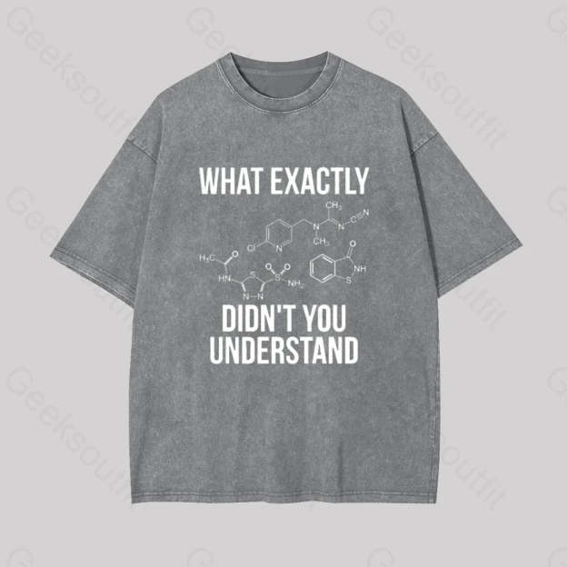 What Exactly Didn?��t You Understand Geek Washed T-Shirt Grey / S