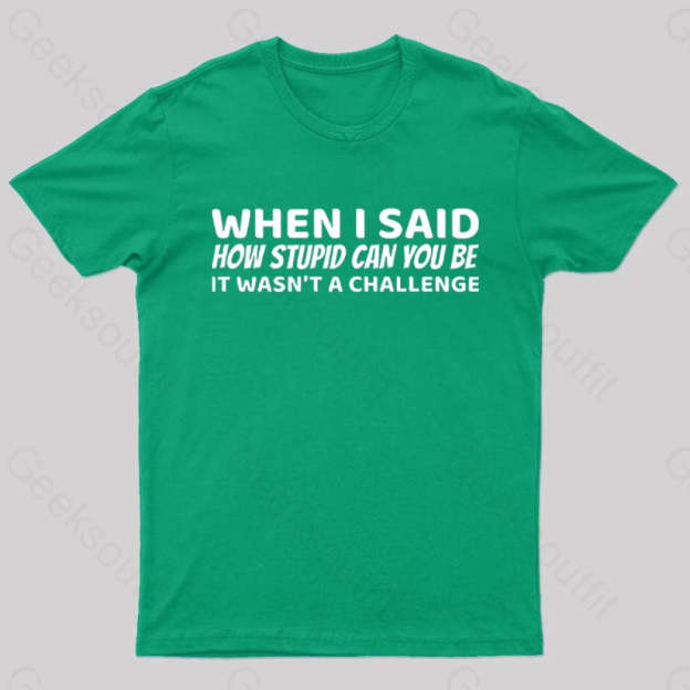 When I Said How Stupid Can You Be It Wasn’t A Challenge Nerd T-Shirt Green / S