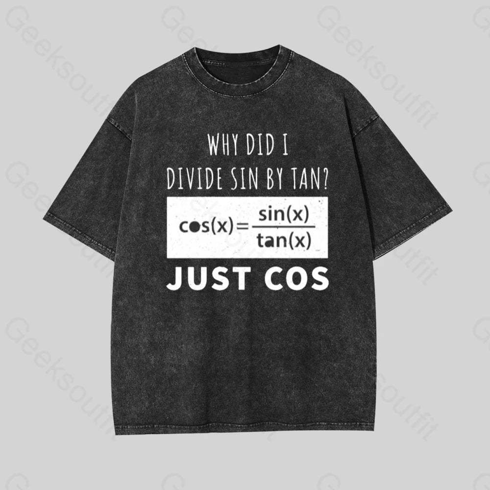 Why Did I Divide Sin By Tan Geek Washed T-Shirt Black / S