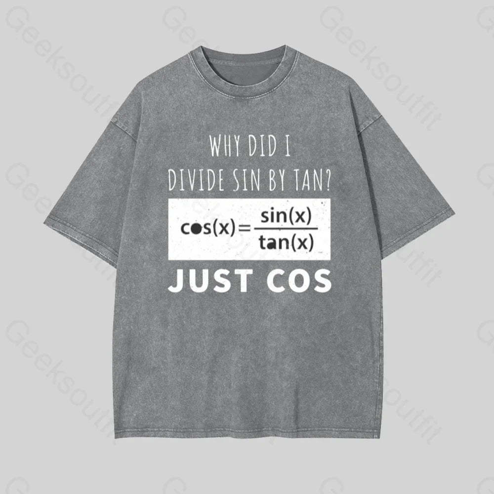 Why Did I Divide Sin By Tan Geek Washed T-Shirt Grey / S