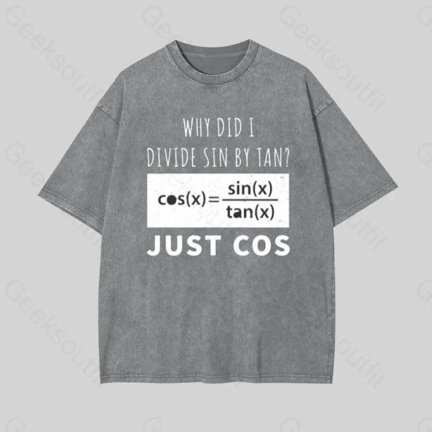 Why Did I Divide Sin By Tan Geek Washed T-Shirt Grey / S