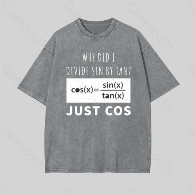 Why Did I Divide Sin By Tan Geek Washed T-Shirt Grey / S