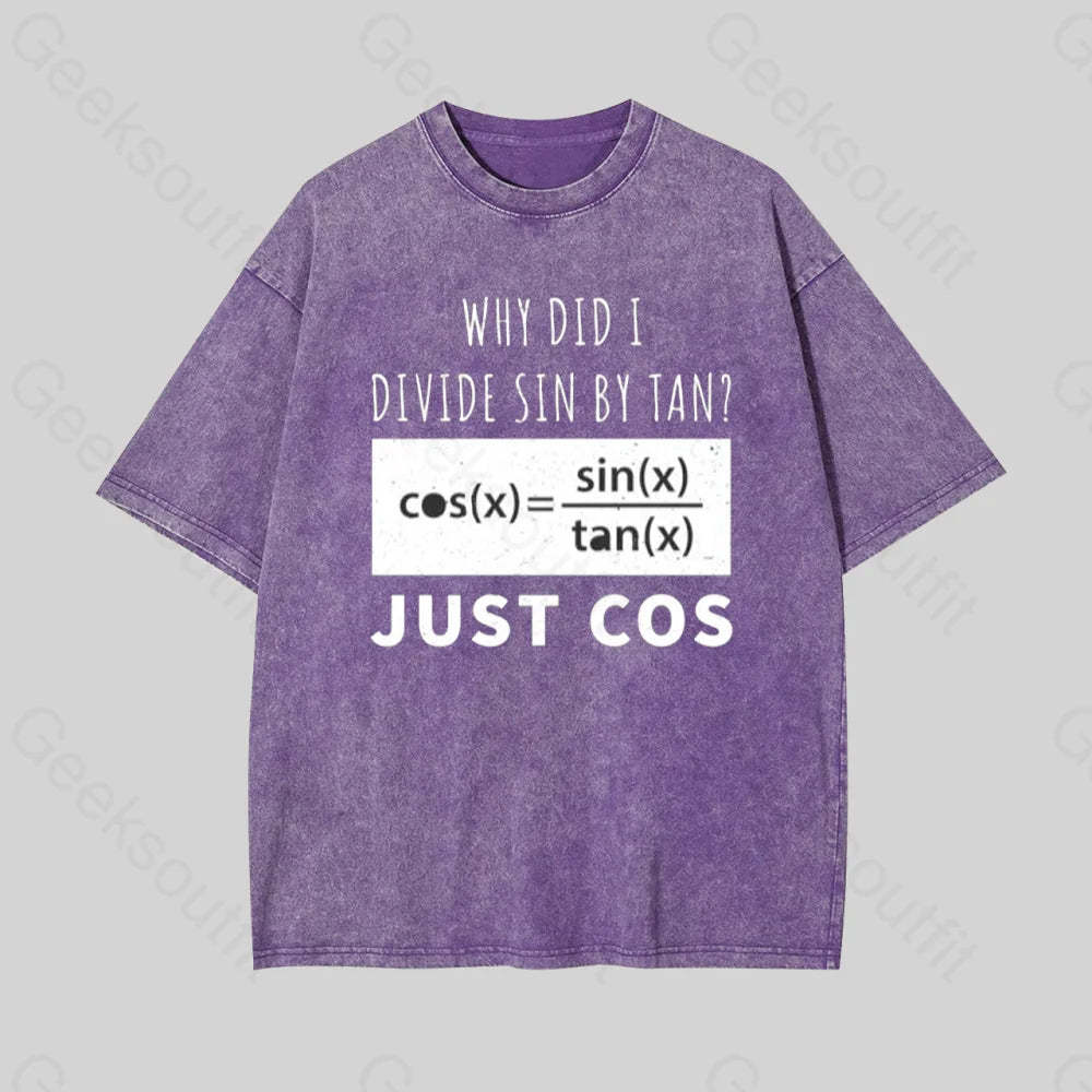 Why Did I Divide Sin By Tan Geek Washed T-Shirt Purple / S