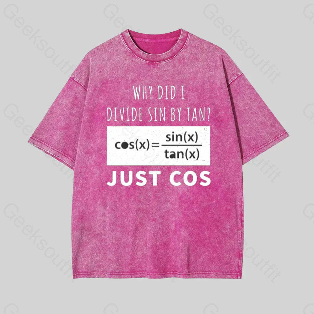 Why Did I Divide Sin By Tan Geek Washed T-Shirt Rose Red / S