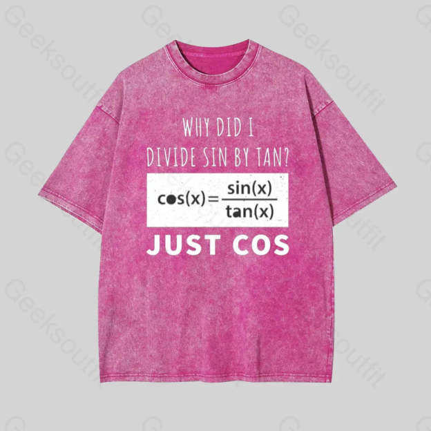 Why Did I Divide Sin By Tan Geek Washed T-Shirt Rose Red / S