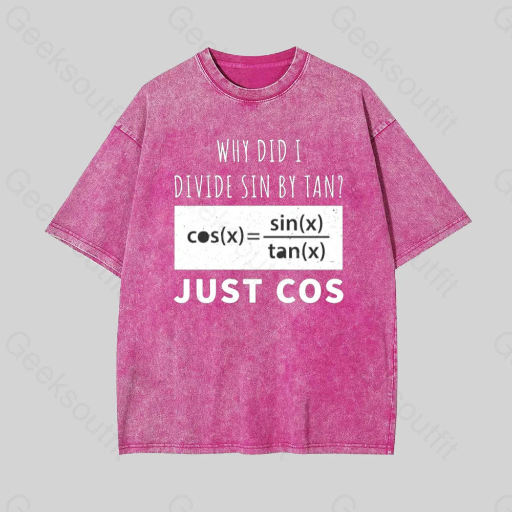 Why Did I Divide Sin By Tan Geek Washed T-Shirt Rose Red / S