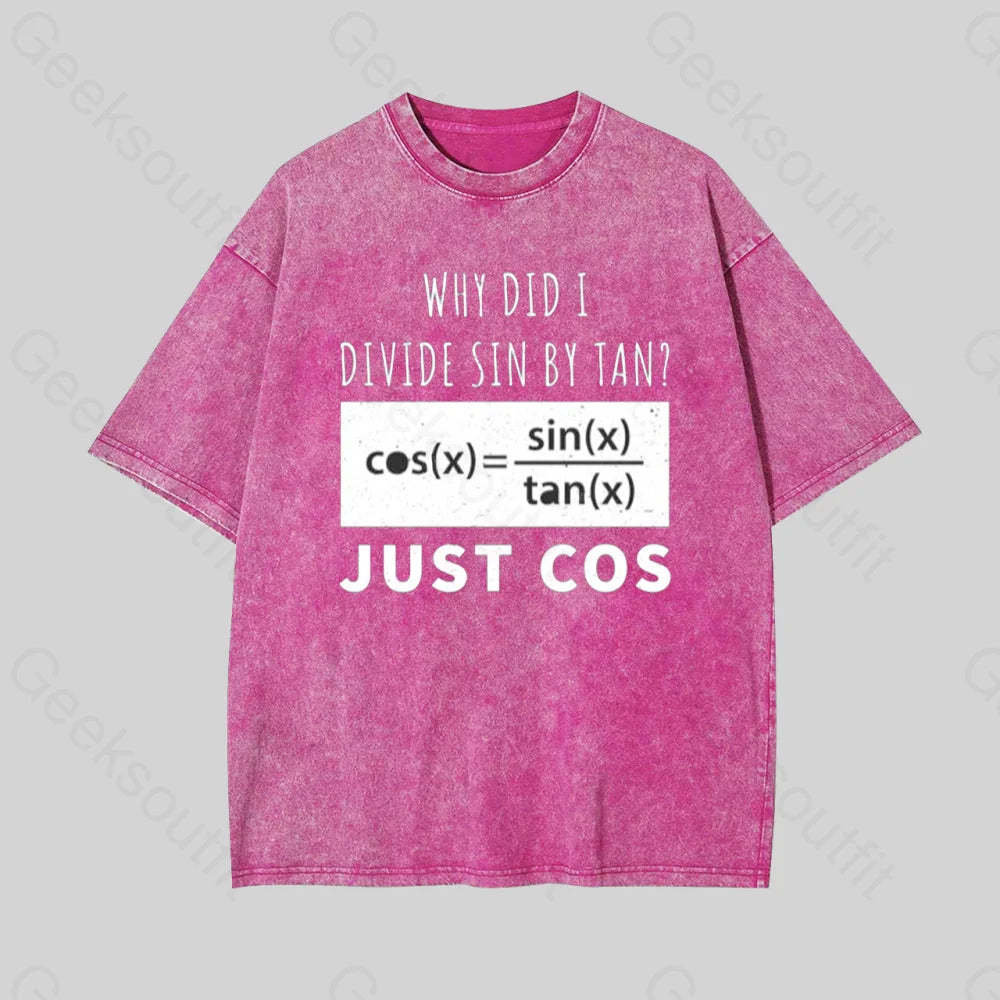 Why Did I Divide Sin By Tan Geek Washed T-Shirt Rose Red / S