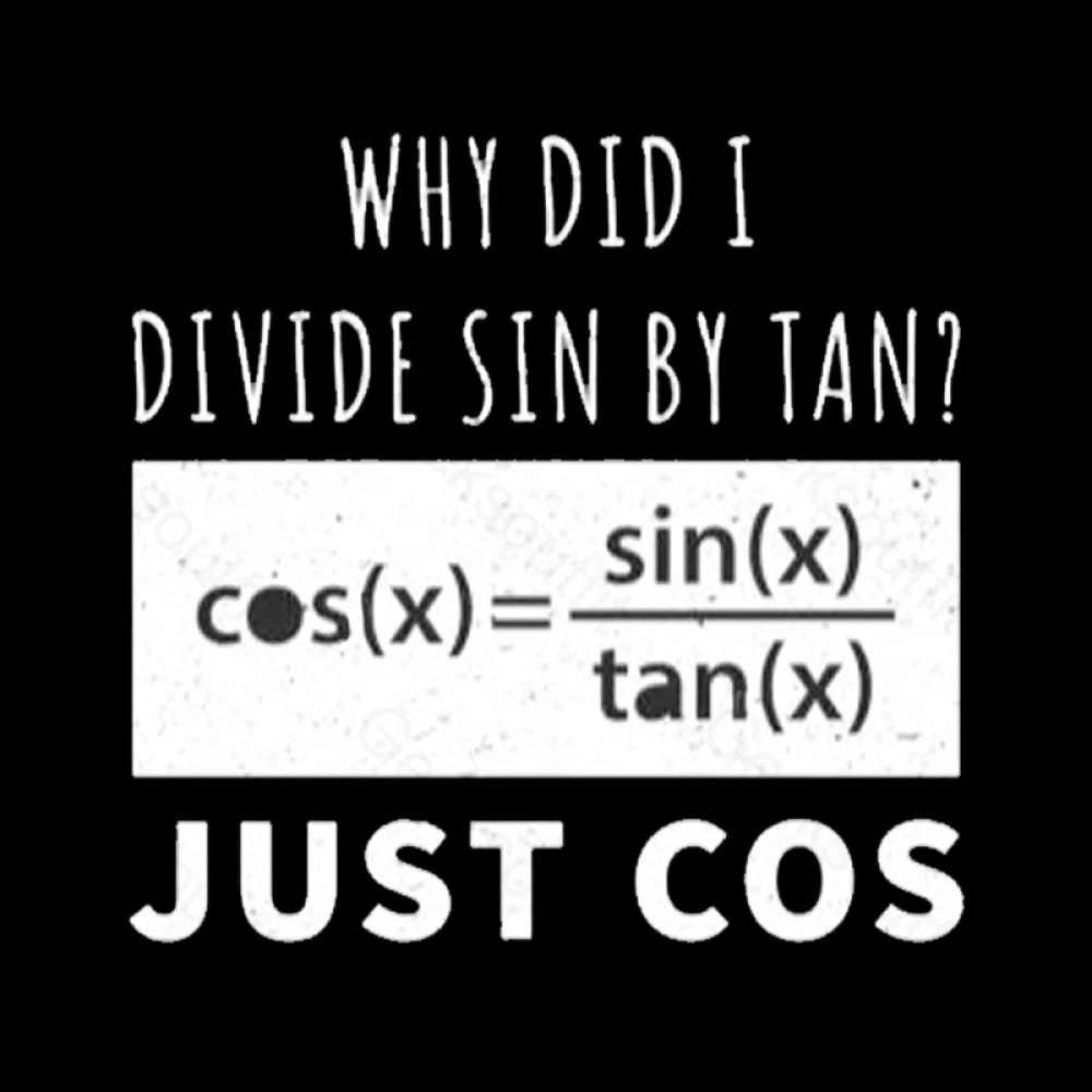 Why Did I Divide Sin By Tan T-Shirt