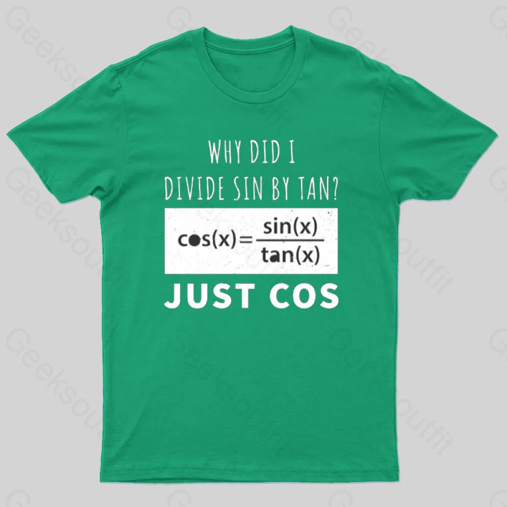 Why Did I Divide Sin By Tan T-Shirt Green / S