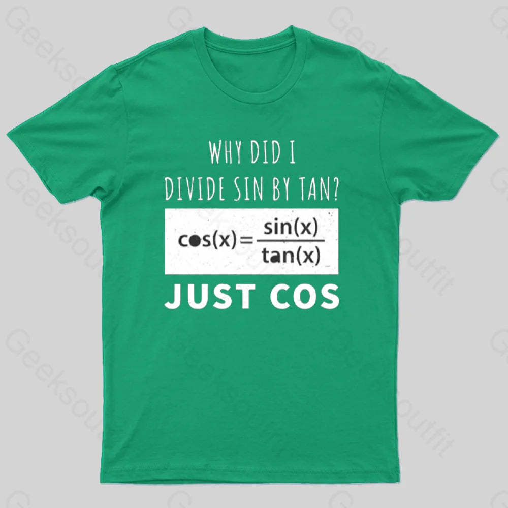 Why Did I Divide Sin By Tan T-Shirt Green / S