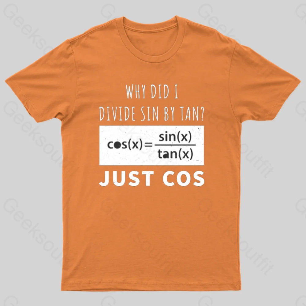 Why Did I Divide Sin By Tan T-Shirt Orange / S