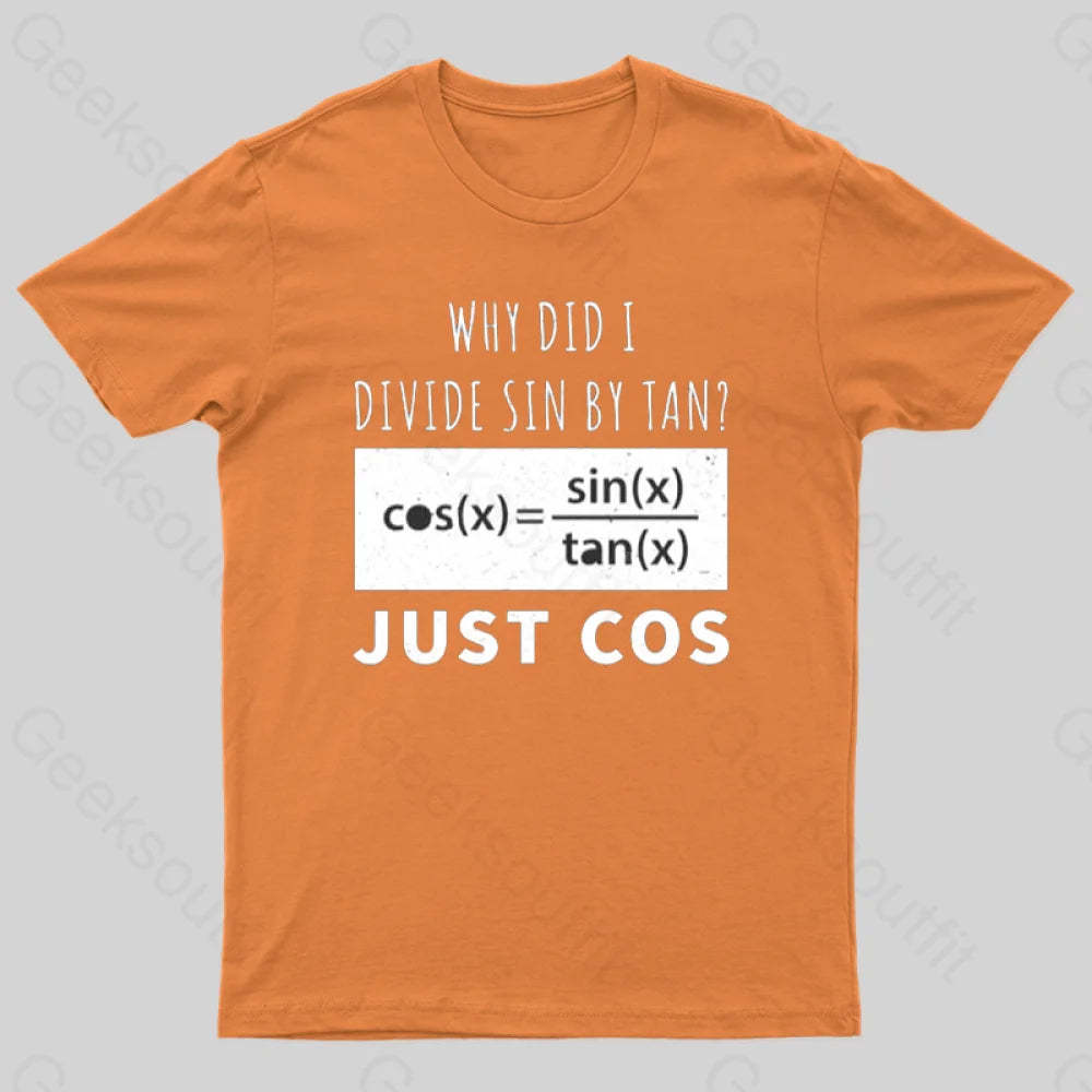 Why Did I Divide Sin By Tan T-Shirt Orange / S