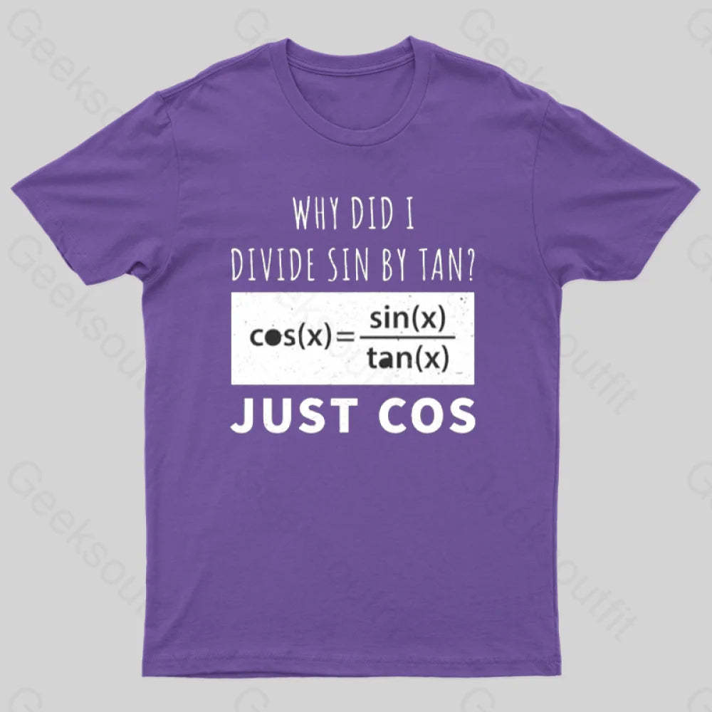 Why Did I Divide Sin By Tan T-Shirt Purple / S