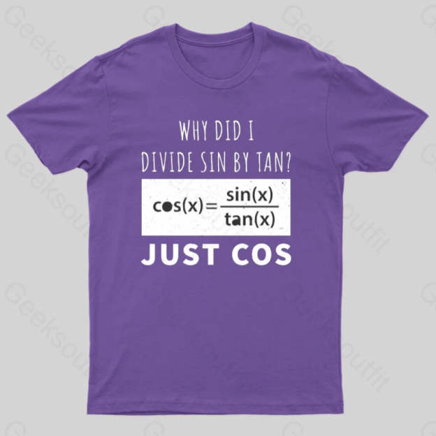 Why Did I Divide Sin By Tan T-Shirt Purple / S